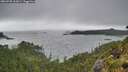 ./images/calvert/foggy-cove/20260728/foggy-cove20260728_162001M.jpg