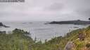 ./images/calvert/foggy-cove/20260728/foggy-cove20260728_163501M.jpg