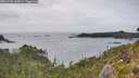 ./images/calvert/foggy-cove/20260728/foggy-cove20260728_165002M.jpg