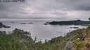 ./images/calvert/foggy-cove/20260729/foggy-cove20260729_055001M.jpg