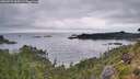 ./images/calvert/foggy-cove/20260729/foggy-cove20260729_060501M.jpg