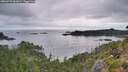 ./images/calvert/foggy-cove/20260729/foggy-cove20260729_061001M.jpg