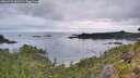 ./images/calvert/foggy-cove/20260729/foggy-cove20260729_061501M.jpg