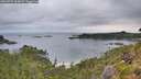 ./images/calvert/foggy-cove/20260729/foggy-cove20260729_063001M.jpg