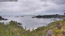 ./images/calvert/foggy-cove/20260729/foggy-cove20260729_065001M.jpg