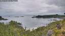 ./images/calvert/foggy-cove/20260729/foggy-cove20260729_065502M.jpg