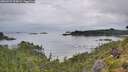 ./images/calvert/foggy-cove/20260729/foggy-cove20260729_070002M.jpg