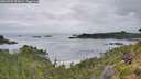 ./images/calvert/foggy-cove/20260729/foggy-cove20260729_073002M.jpg