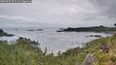 ./images/calvert/foggy-cove/20260729/foggy-cove20260729_073501M.jpg