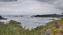 ./images/calvert/foggy-cove/20260729/foggy-cove20260729_074501M.jpg