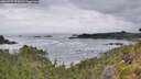 ./images/calvert/foggy-cove/20260729/foggy-cove20260729_075001M.jpg