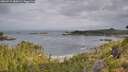 ./images/calvert/foggy-cove/20260729/foggy-cove20260729_080001M.jpg