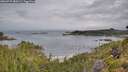 ./images/calvert/foggy-cove/20260729/foggy-cove20260729_080502M.jpg