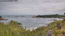 ./images/calvert/foggy-cove/20260729/foggy-cove20260729_081501M.jpg