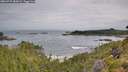 ./images/calvert/foggy-cove/20260729/foggy-cove20260729_082001M.jpg