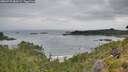 ./images/calvert/foggy-cove/20260729/foggy-cove20260729_083501M.jpg