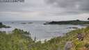 ./images/calvert/foggy-cove/20260729/foggy-cove20260729_084001M.jpg