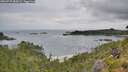 ./images/calvert/foggy-cove/20260729/foggy-cove20260729_084501M.jpg
