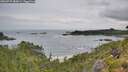./images/calvert/foggy-cove/20260729/foggy-cove20260729_085001M.jpg