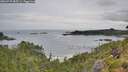 ./images/calvert/foggy-cove/20260729/foggy-cove20260729_085501M.jpg