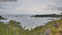 ./images/calvert/foggy-cove/20260729/foggy-cove20260729_090002M.jpg