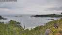 ./images/calvert/foggy-cove/20260729/foggy-cove20260729_090501M.jpg