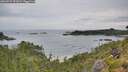./images/calvert/foggy-cove/20260729/foggy-cove20260729_091001M.jpg