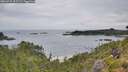 ./images/calvert/foggy-cove/20260729/foggy-cove20260729_091501M.jpg