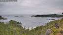 ./images/calvert/foggy-cove/20260729/foggy-cove20260729_092502M.jpg