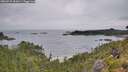 ./images/calvert/foggy-cove/20260729/foggy-cove20260729_093001M.jpg