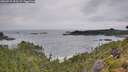 ./images/calvert/foggy-cove/20260729/foggy-cove20260729_093502M.jpg