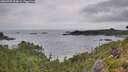 ./images/calvert/foggy-cove/20260729/foggy-cove20260729_094001M.jpg
