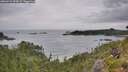 ./images/calvert/foggy-cove/20260729/foggy-cove20260729_094501M.jpg