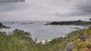 ./images/calvert/foggy-cove/20260729/foggy-cove20260729_095001M.jpg