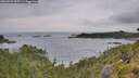 ./images/calvert/foggy-cove/20260729/foggy-cove20260729_095501M.jpg
