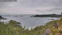 ./images/calvert/foggy-cove/20260729/foggy-cove20260729_100501M.jpg