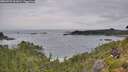 ./images/calvert/foggy-cove/20260729/foggy-cove20260729_101001M.jpg