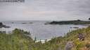 ./images/calvert/foggy-cove/20260729/foggy-cove20260729_102001M.jpg