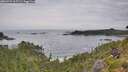 ./images/calvert/foggy-cove/20260729/foggy-cove20260729_102501M.jpg