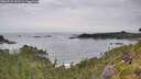 ./images/calvert/foggy-cove/20260729/foggy-cove20260729_103501M.jpg