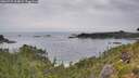 ./images/calvert/foggy-cove/20260729/foggy-cove20260729_104002M.jpg