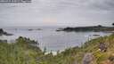 ./images/calvert/foggy-cove/20260729/foggy-cove20260729_104501M.jpg