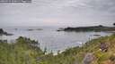 ./images/calvert/foggy-cove/20260729/foggy-cove20260729_105002M.jpg