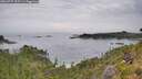 ./images/calvert/foggy-cove/20260729/foggy-cove20260729_105501M.jpg