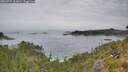 ./images/calvert/foggy-cove/20260729/foggy-cove20260729_111002M.jpg