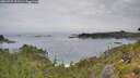 ./images/calvert/foggy-cove/20260729/foggy-cove20260729_111501M.jpg