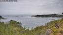 ./images/calvert/foggy-cove/20260729/foggy-cove20260729_112001M.jpg
