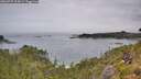 ./images/calvert/foggy-cove/20260729/foggy-cove20260729_113001M.jpg