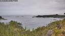 ./images/calvert/foggy-cove/20260729/foggy-cove20260729_114001M.jpg