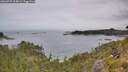 ./images/calvert/foggy-cove/20260729/foggy-cove20260729_114501M.jpg